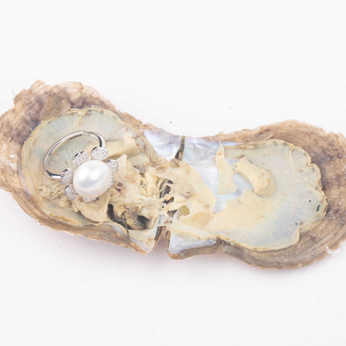 Love Wish Pearl Party Gift Vacuum-packed jewelry akoya Oyster fortune akoya oyster pearl ring in akoya oyster shell