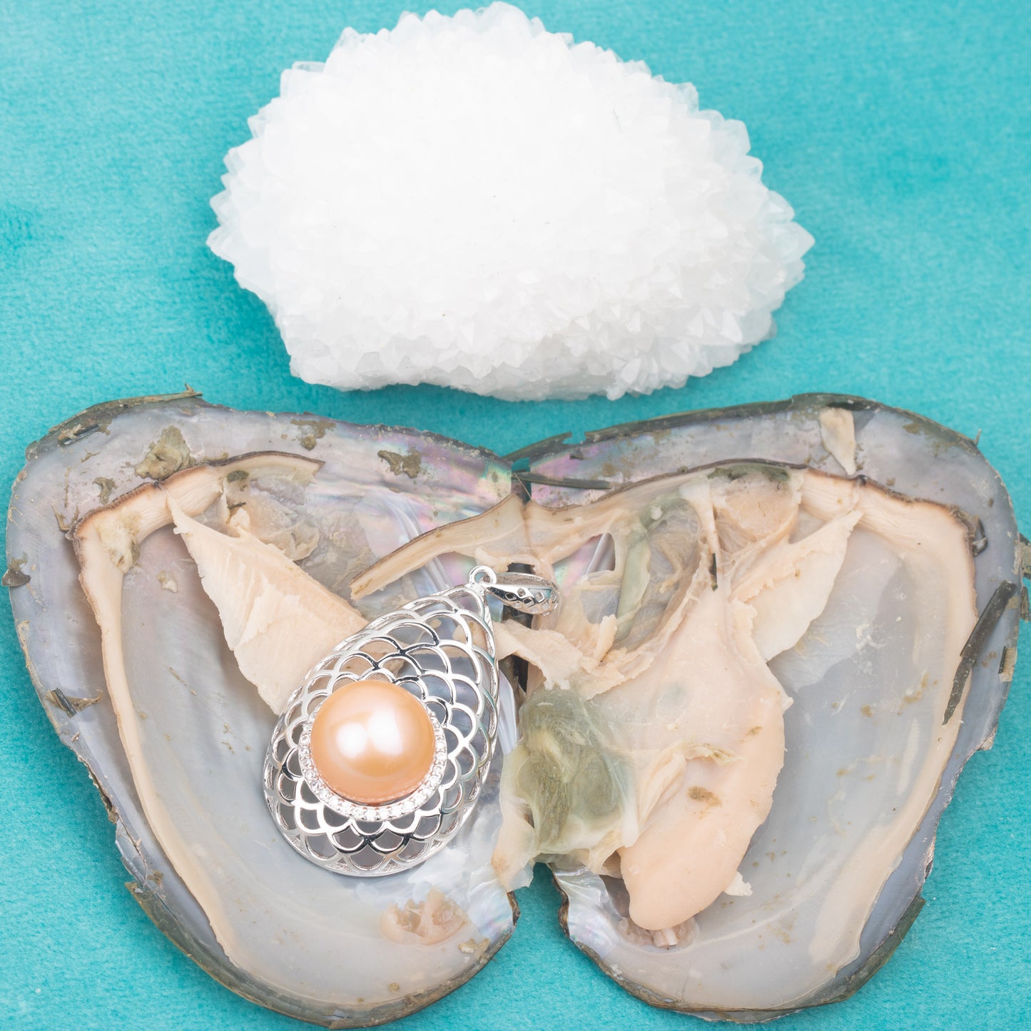 Love Wish Pearl Party Gift Vacuum-packed jewelry Oyster fortune oyster pearl ring in oyster shell