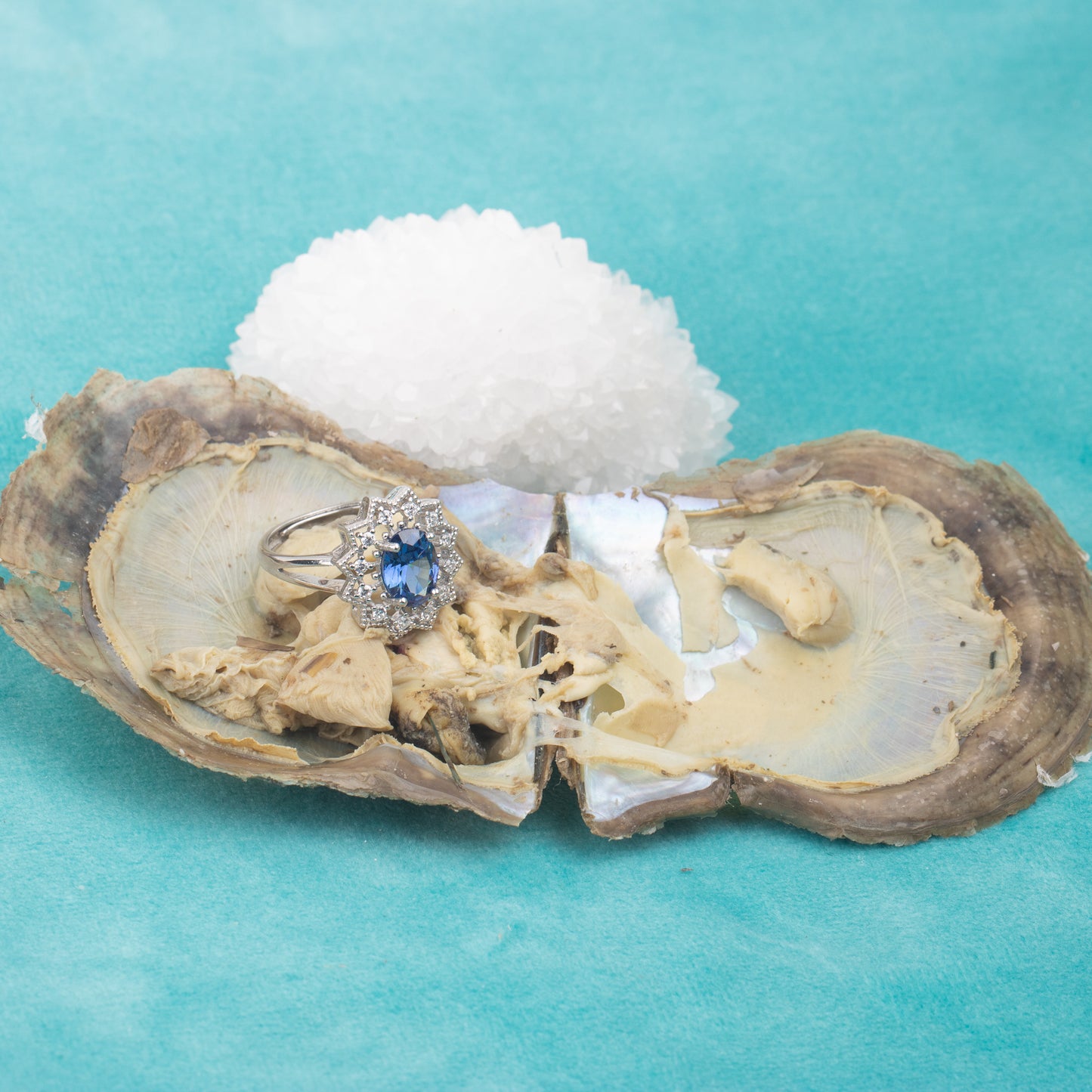 Love Wish Pearl Party Gift Vacuum-packed akoya jewelry Oyster akoya gem fortune oyster gem ring in akoya oyster shell