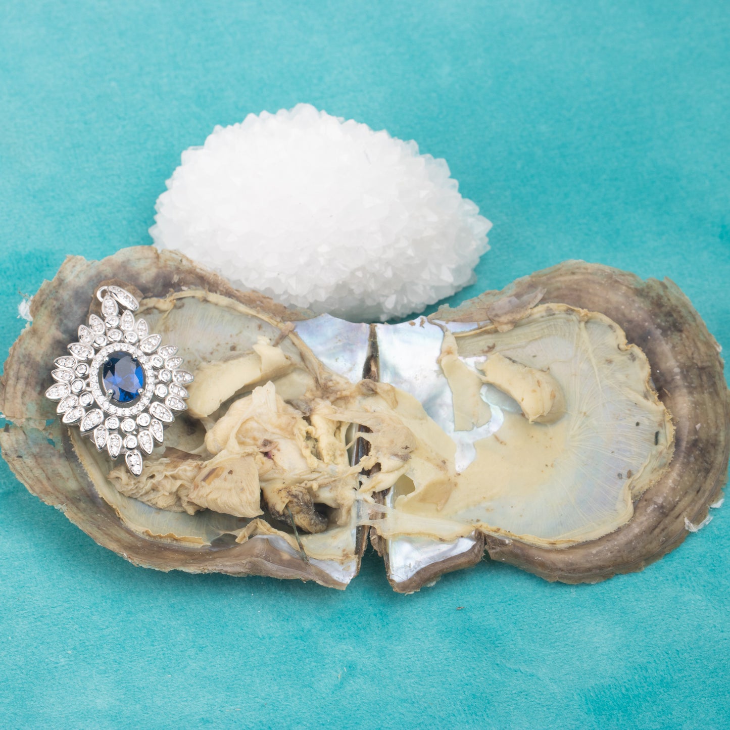 Love Wish Pearl Party Gift Vacuum-packed akoya jewelry Oyster akoya gem fortune oyster gem ring in akoya oyster shell