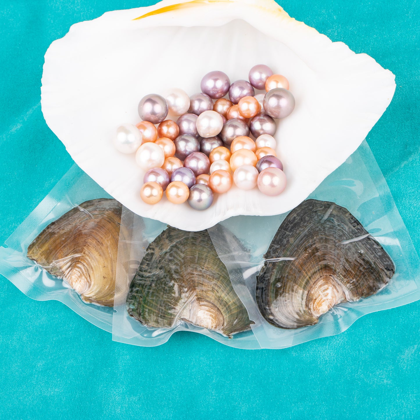 Love Wish Pearl Party Gift Vacuum-packed 9-13mm aaaa quality Loose freshwater Round Cultured edison pearl Oyster