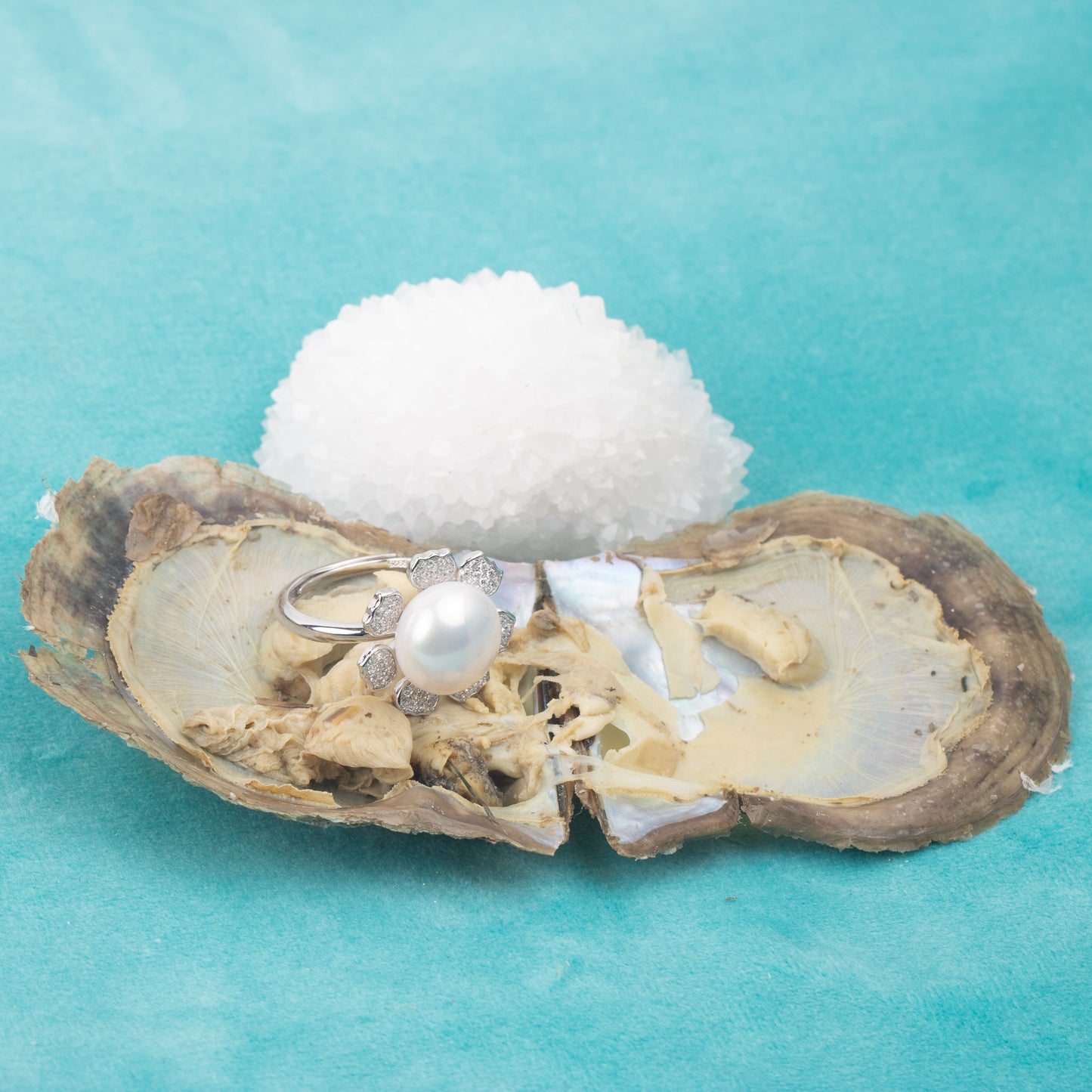 Love Wish Pearl Party Gift Vacuum-packed jewelry akoya Oyster fortune akoya oyster pearl ring in akoya oyster shell