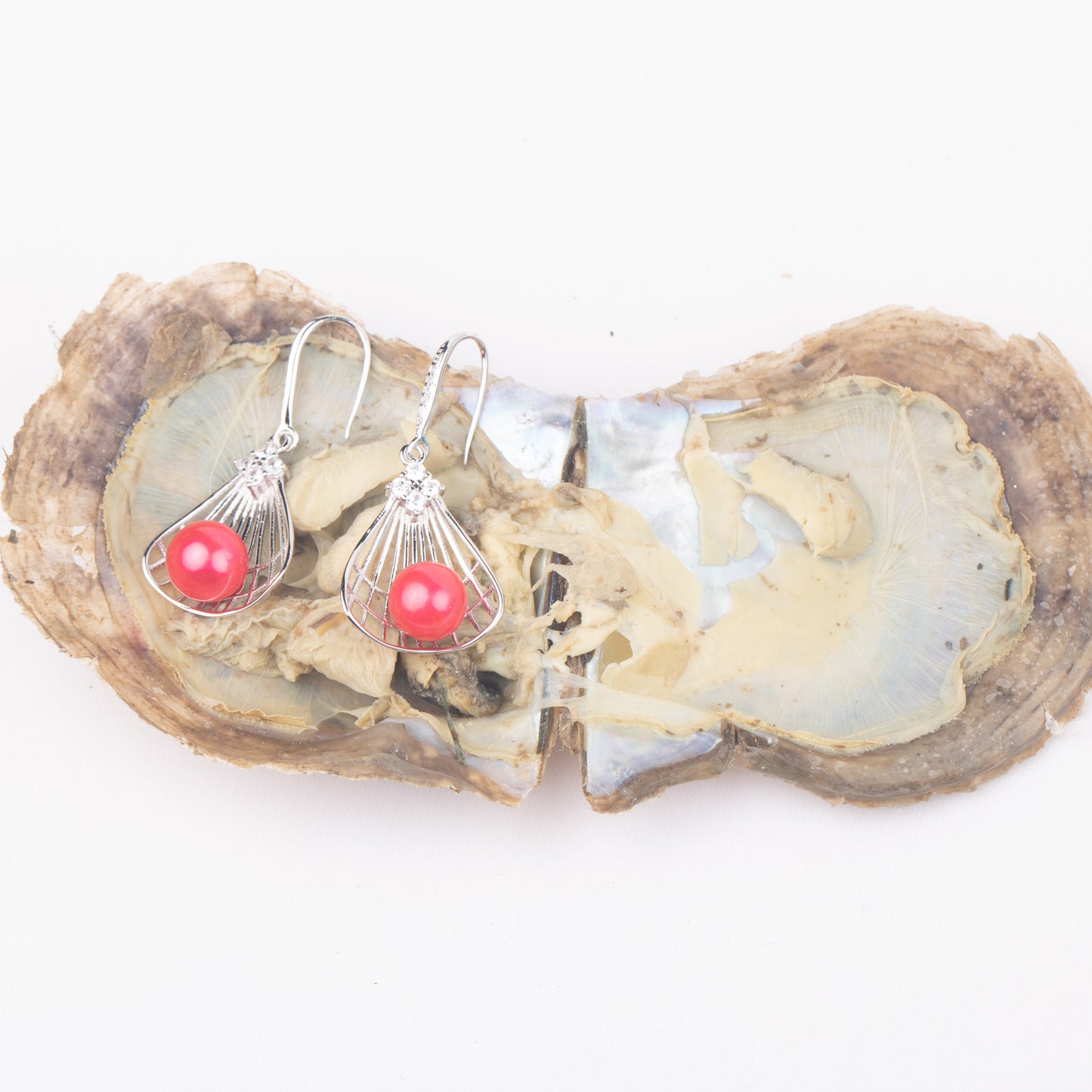 Love Wish Pearl Party Gift Vacuum-packed jewelry akoya Oyster fortune akoya oyster pearl ring in akoya oyster shell