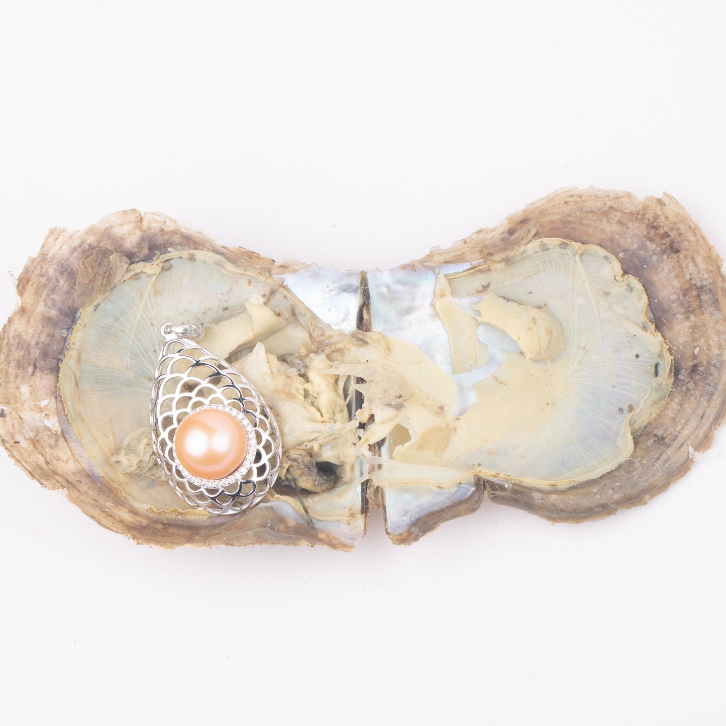Love Wish Pearl Party Gift Vacuum-packed jewelry akoya Oyster fortune akoya oyster pearl ring in akoya oyster shell