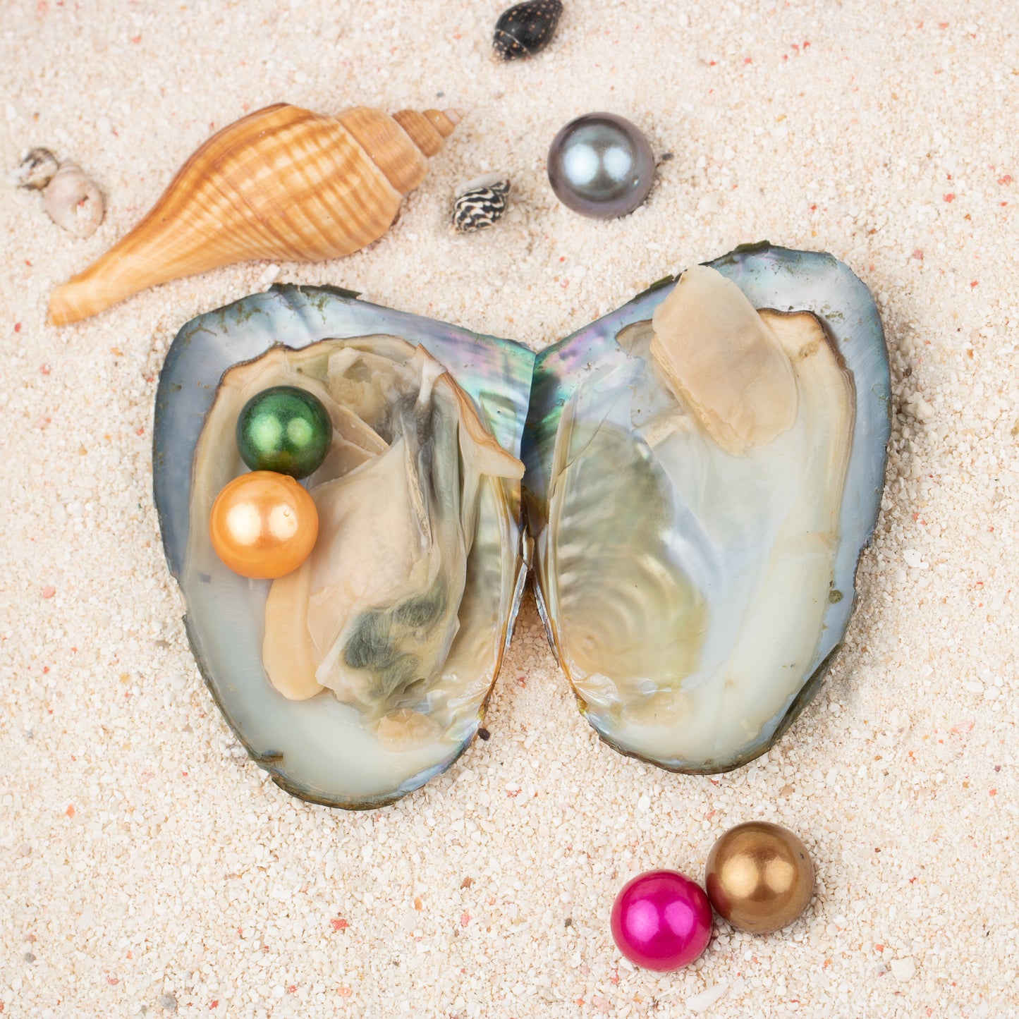 Love Wish Pearl Party Gift Vacuum-packed 9-13mm aaaa quality Loose freshwater Round Cultured edison pearl Oyster