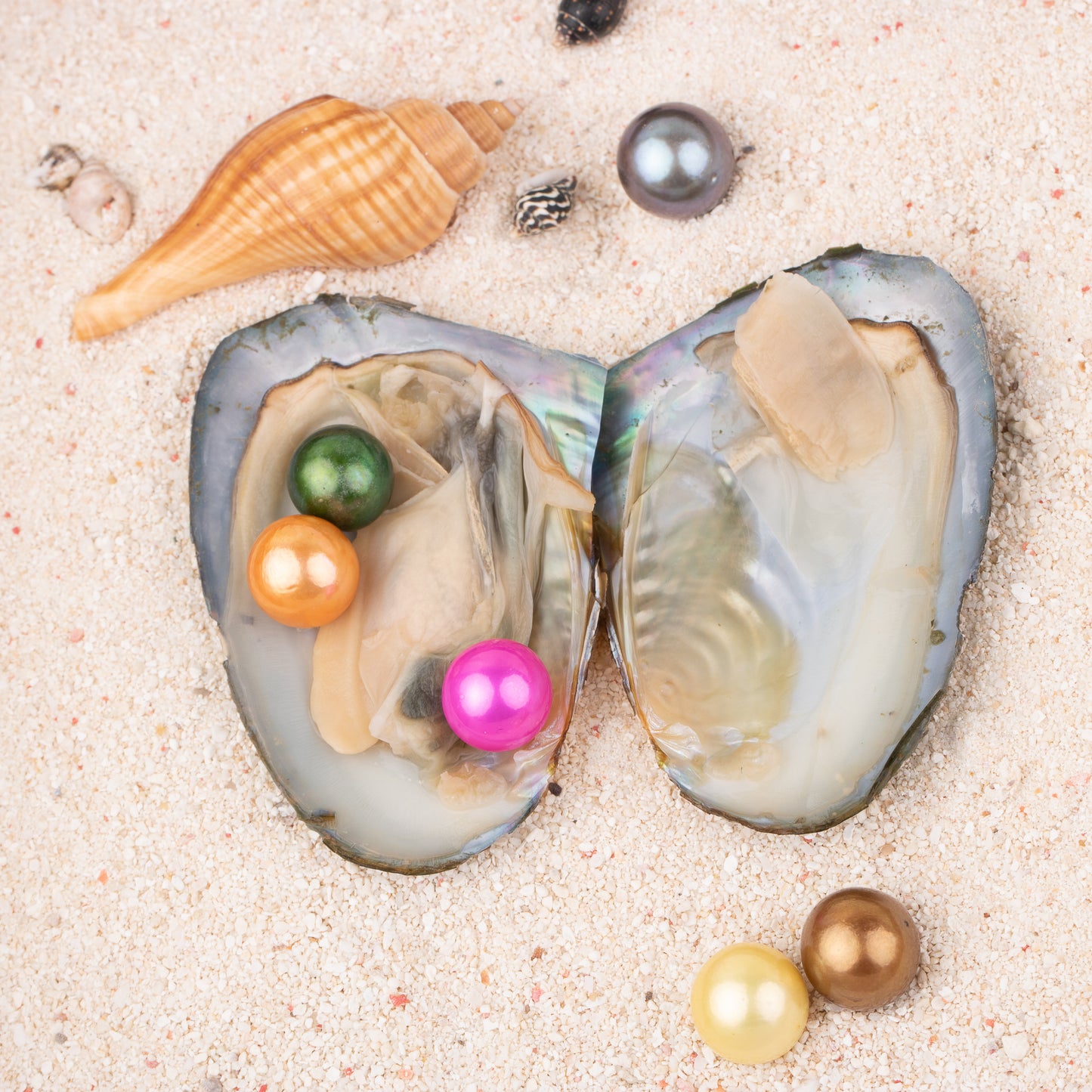 Love Wish Pearl Party Gift Vacuum-packed 9-13mm aaaa quality Loose freshwater Round Cultured edison pearl Oyster