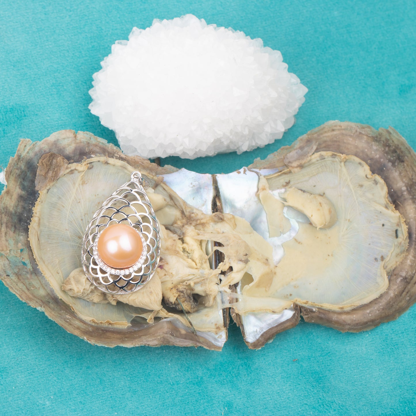 Love Wish Pearl Party Gift Vacuum-packed jewelry akoya Oyster fortune akoya oyster pearl ring in akoya oyster shell