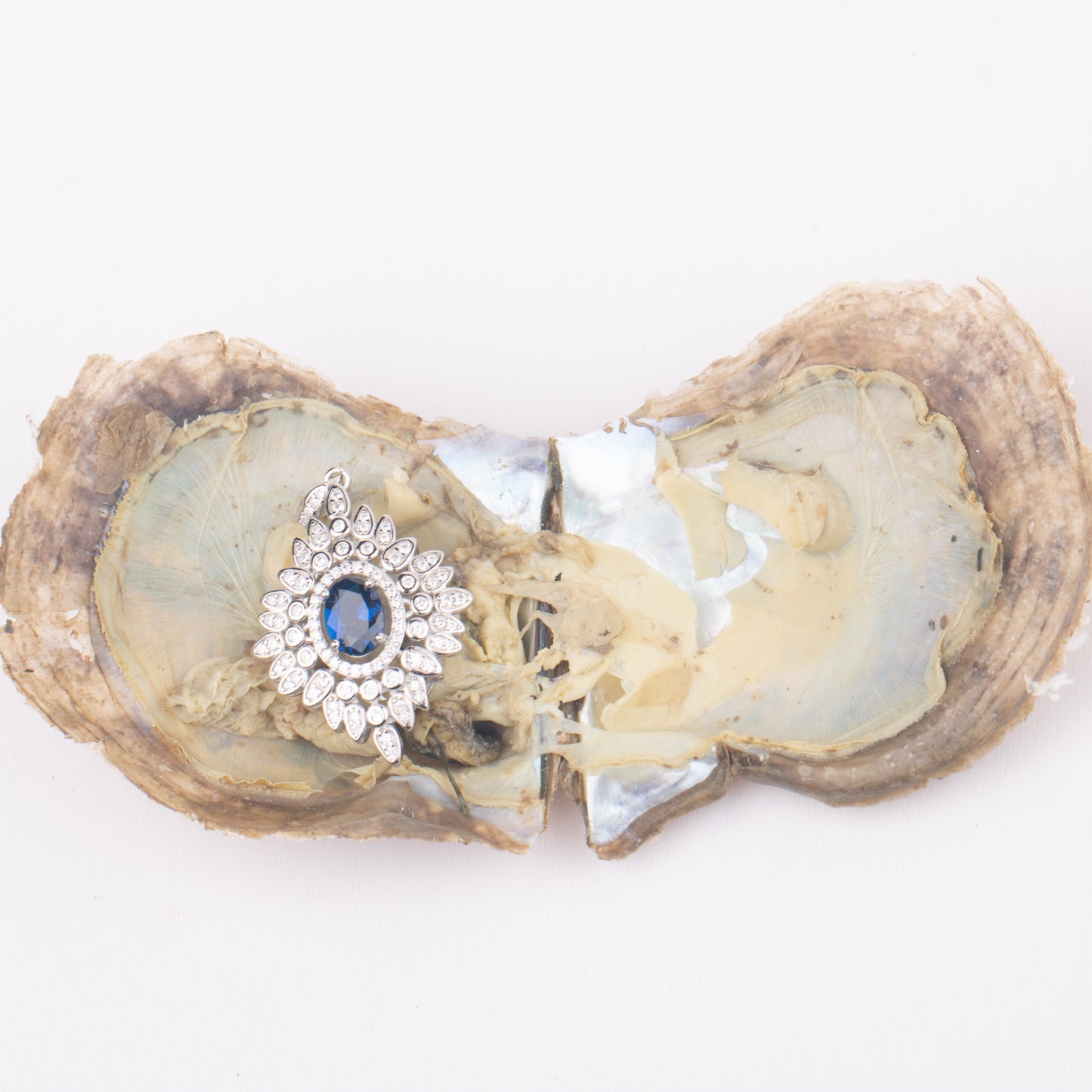 Love Wish Pearl Party Gift Vacuum-packed akoya jewelry Oyster akoya gem fortune oyster gem ring in akoya oyster shell