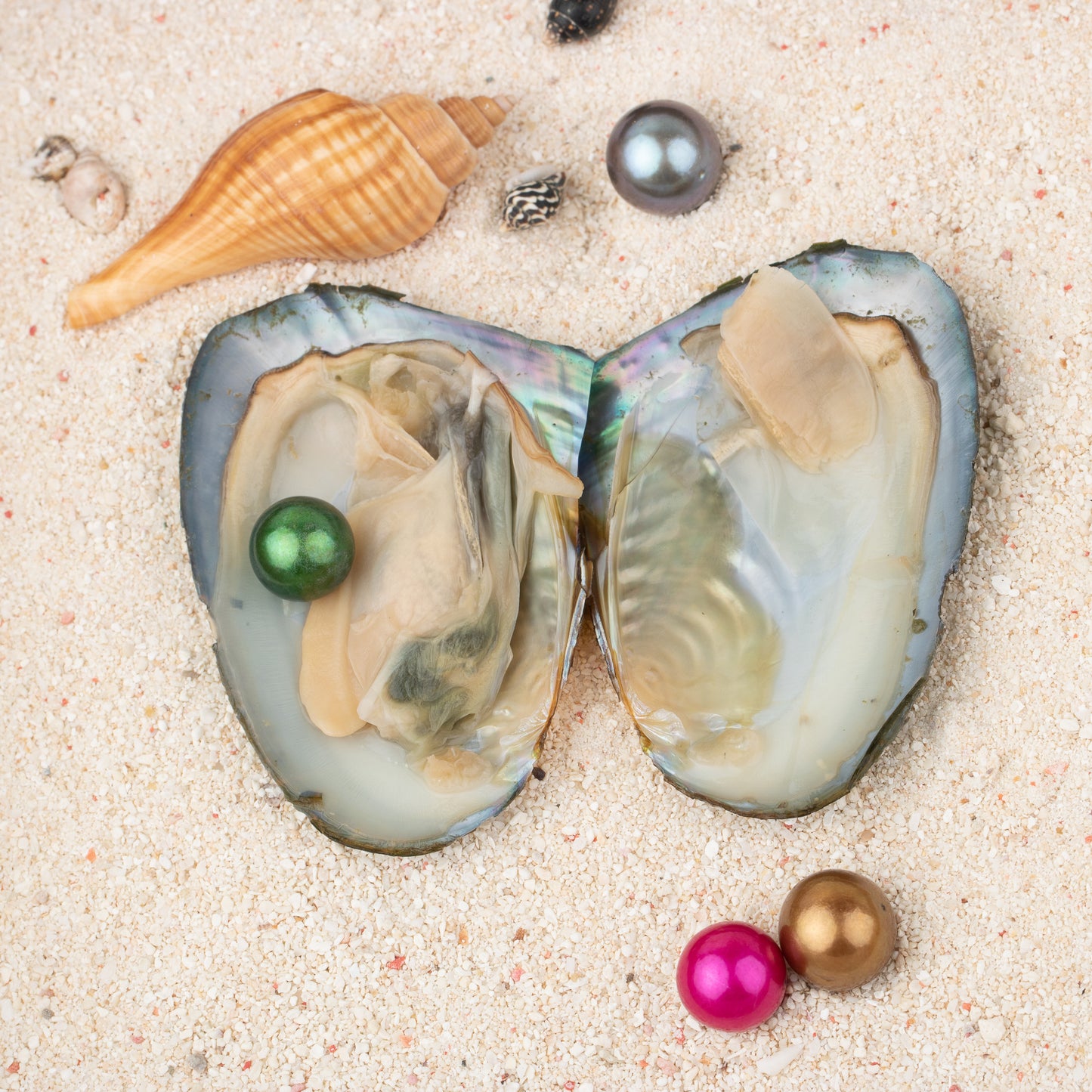 Love Wish Pearl Party Gift Vacuum-packed 9-13mm aaaa quality Loose freshwater Round Cultured edison pearl Oyster