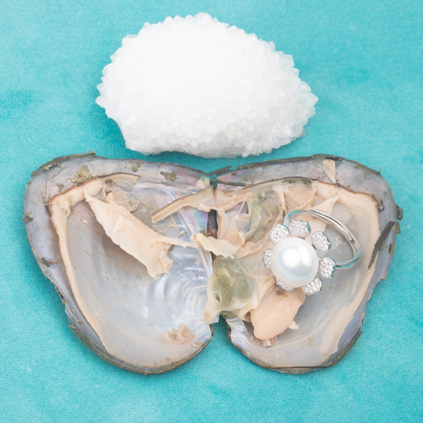 Love Wish Pearl Party Gift Vacuum-packed jewelry Oyster fortune oyster pearl ring in oyster shell