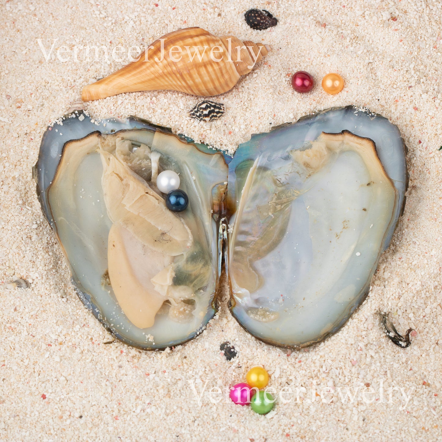 Love Wish Pearl Party Gift Vacuum-packed 6-7mm 4a quality freshwater 2 pearl in oyster Cultured freshwater twin Pearl Oyster