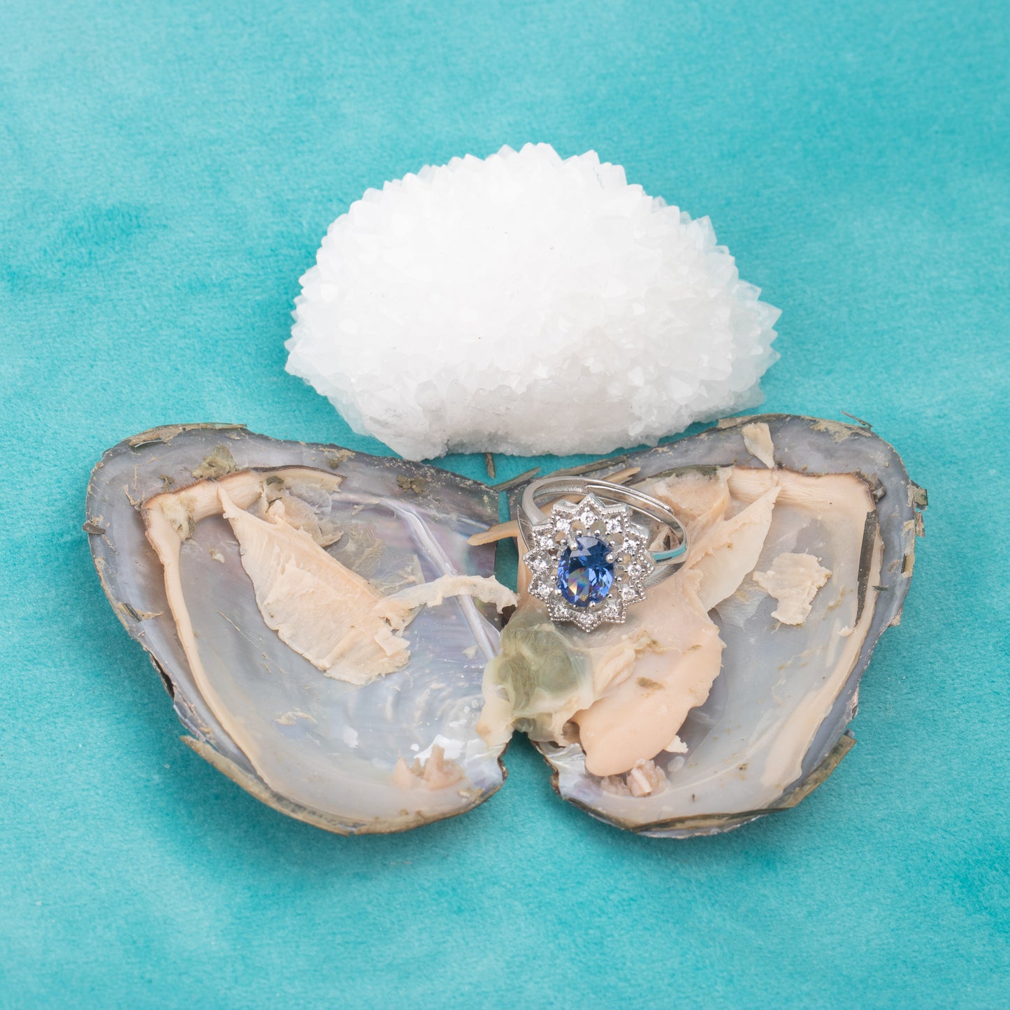 Love Wish Pearl Party Gift Vacuum-packed jewelry Oyster gem fortune oyster gem ring in oyster shell