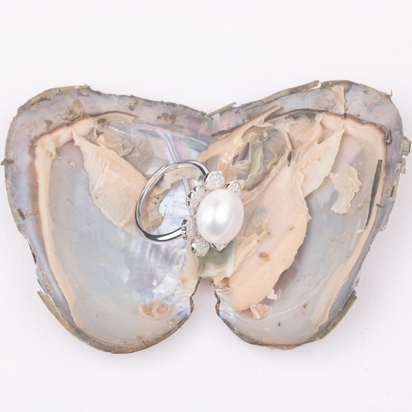 Love Wish Pearl Party Gift Vacuum-packed jewelry Oyster fortune oyster pearl ring in oyster shell
