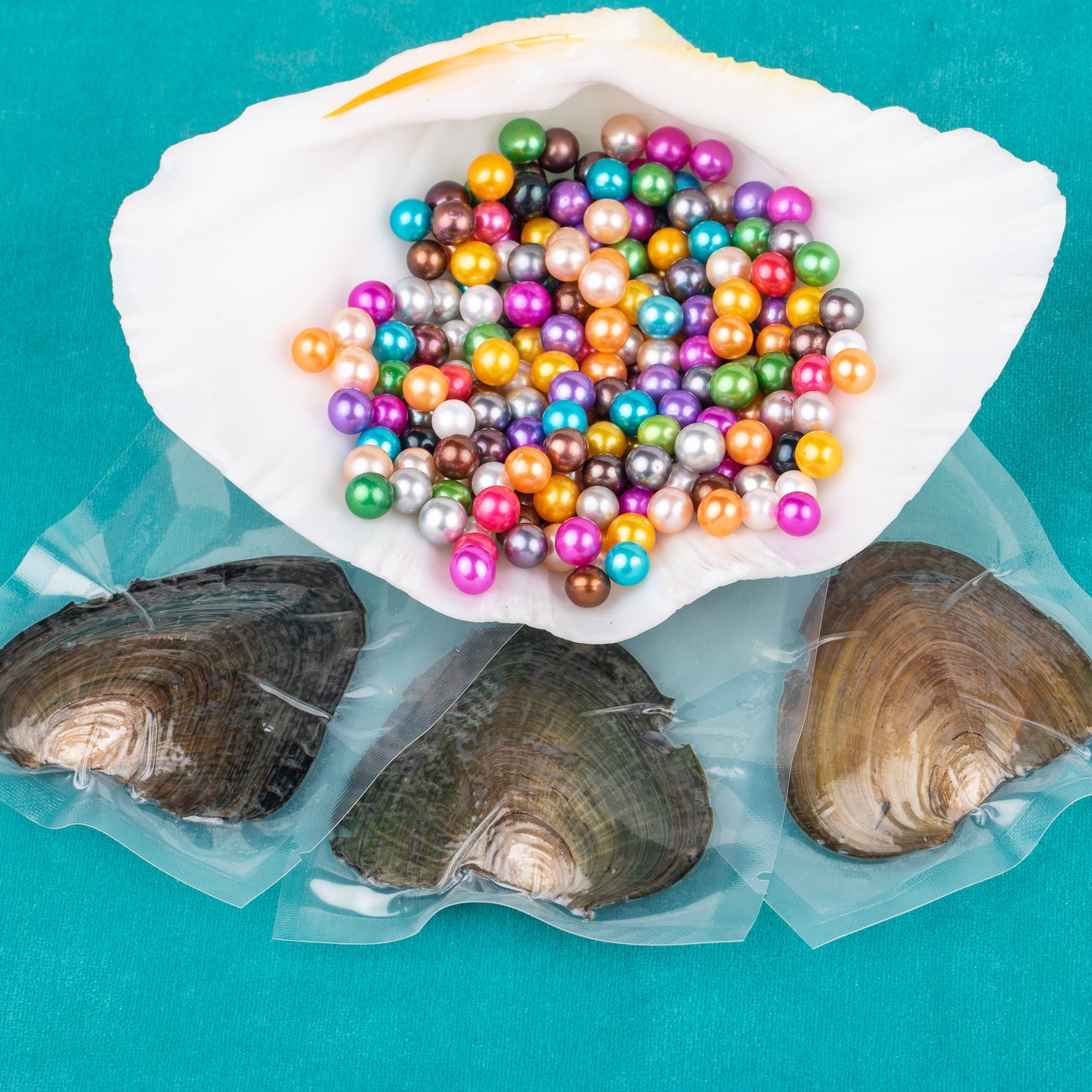 Love Wish Pearl Party Gift Vacuum-packed 6-7mm 4a quality freshwater 2 pearl in oyster Cultured freshwater twin Pearl Oyster