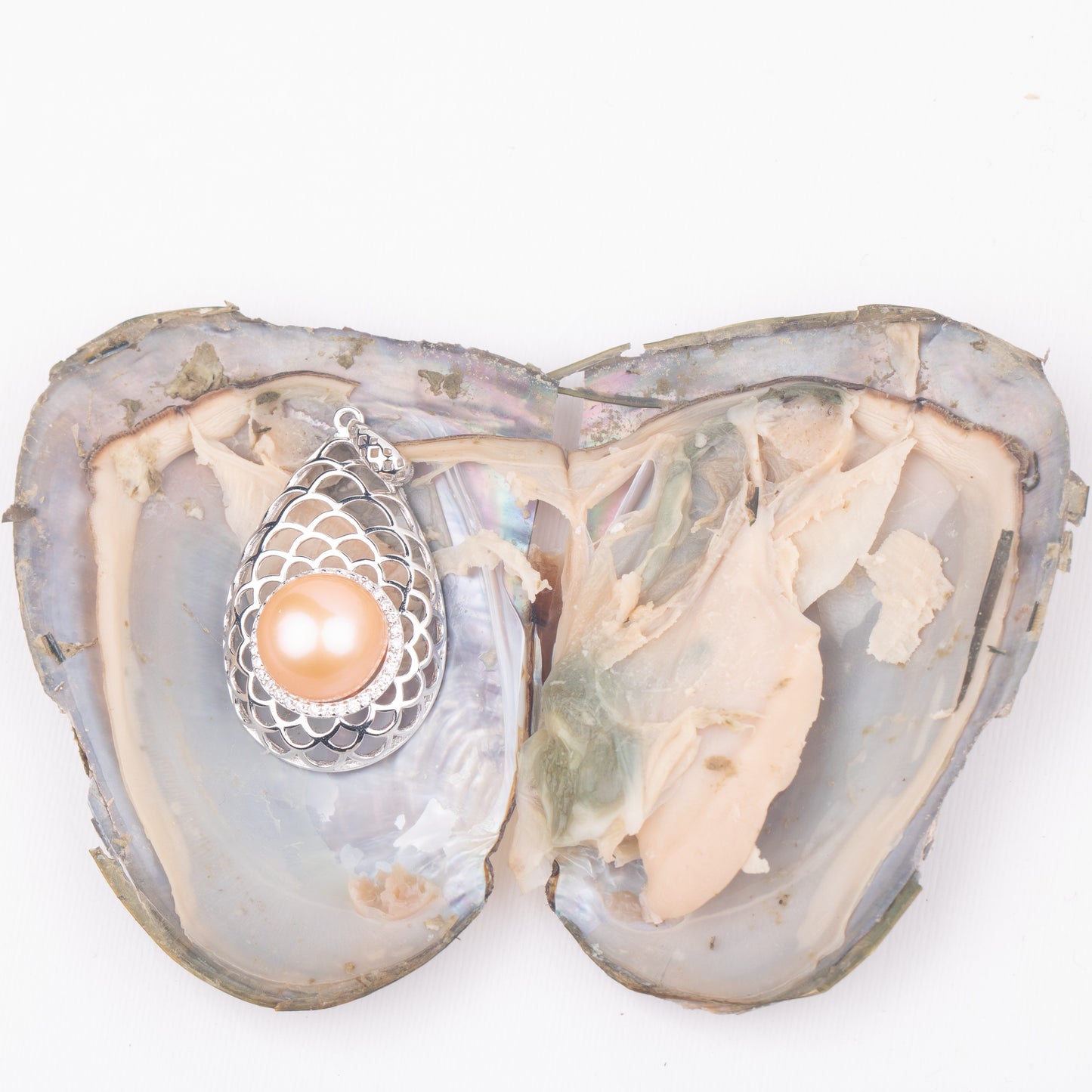 Love Wish Pearl Party Gift Vacuum-packed jewelry Oyster fortune oyster pearl ring in oyster shell