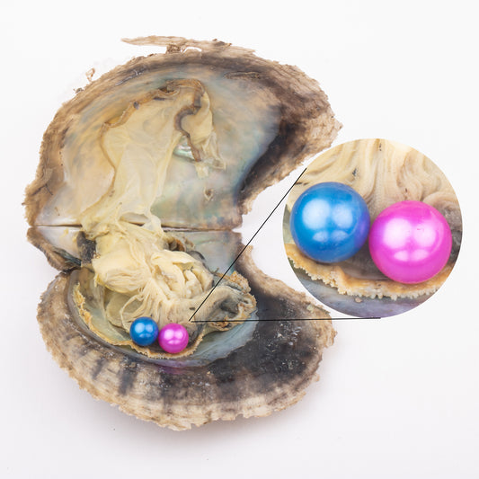 Love Wish Pearl Party Gift Vacuum-packed 6-7mm 4a quality akoya 2 pearl in oyster Cultured twin akoya Oyster