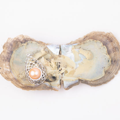 Love Wish Pearl Party Gift Vacuum-packed jewelry akoya Oyster fortune akoya oyster pearl ring in akoya oyster shell