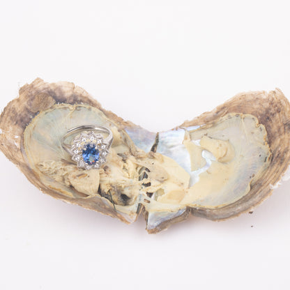 Love Wish Pearl Party Gift Vacuum-packed akoya jewelry Oyster akoya gem fortune oyster gem ring in akoya oyster shell