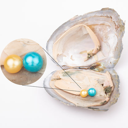 Love Wish Pearl Party Gift Vacuum-packed 7-8mm 4a+ quality 2 pearl in oyster Cultured freshwater Pearl Oyster twin oyster